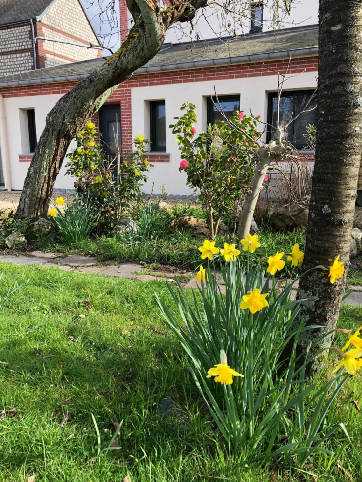 Les Cles D'A Cote - Maison D'Hotes De Charme Pres De Rouen Sotteville-lès-Rouen Eksteriør bilde